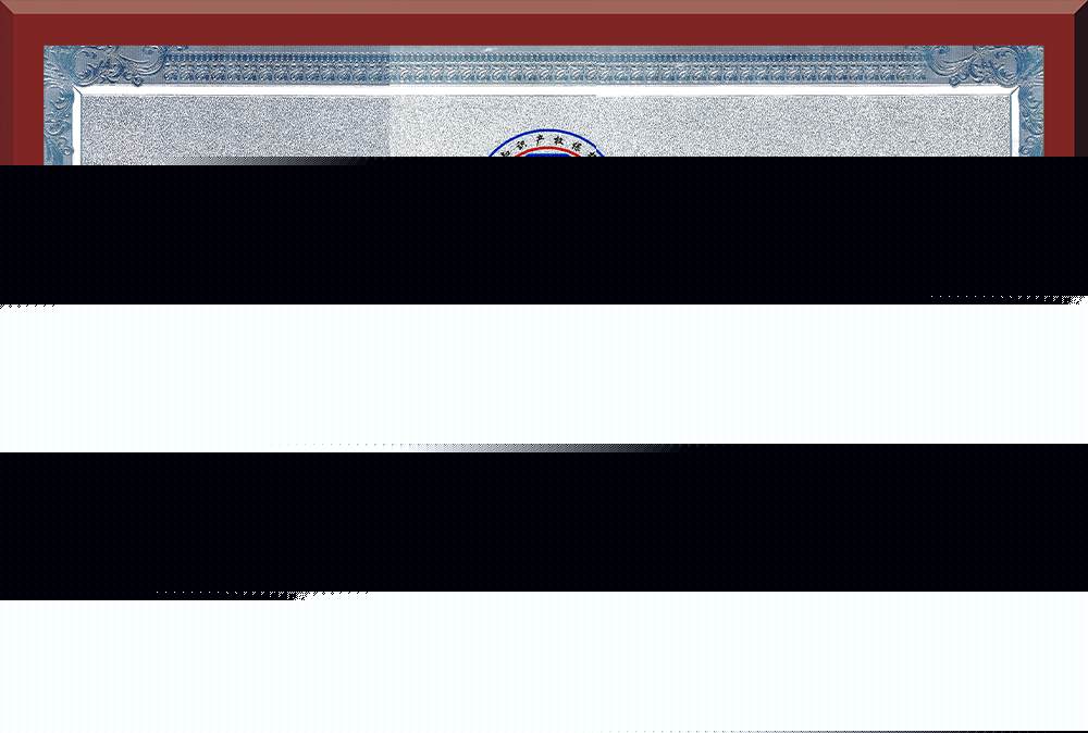 05、廣東省知識產(chǎn)權(quán)示范企業(yè)